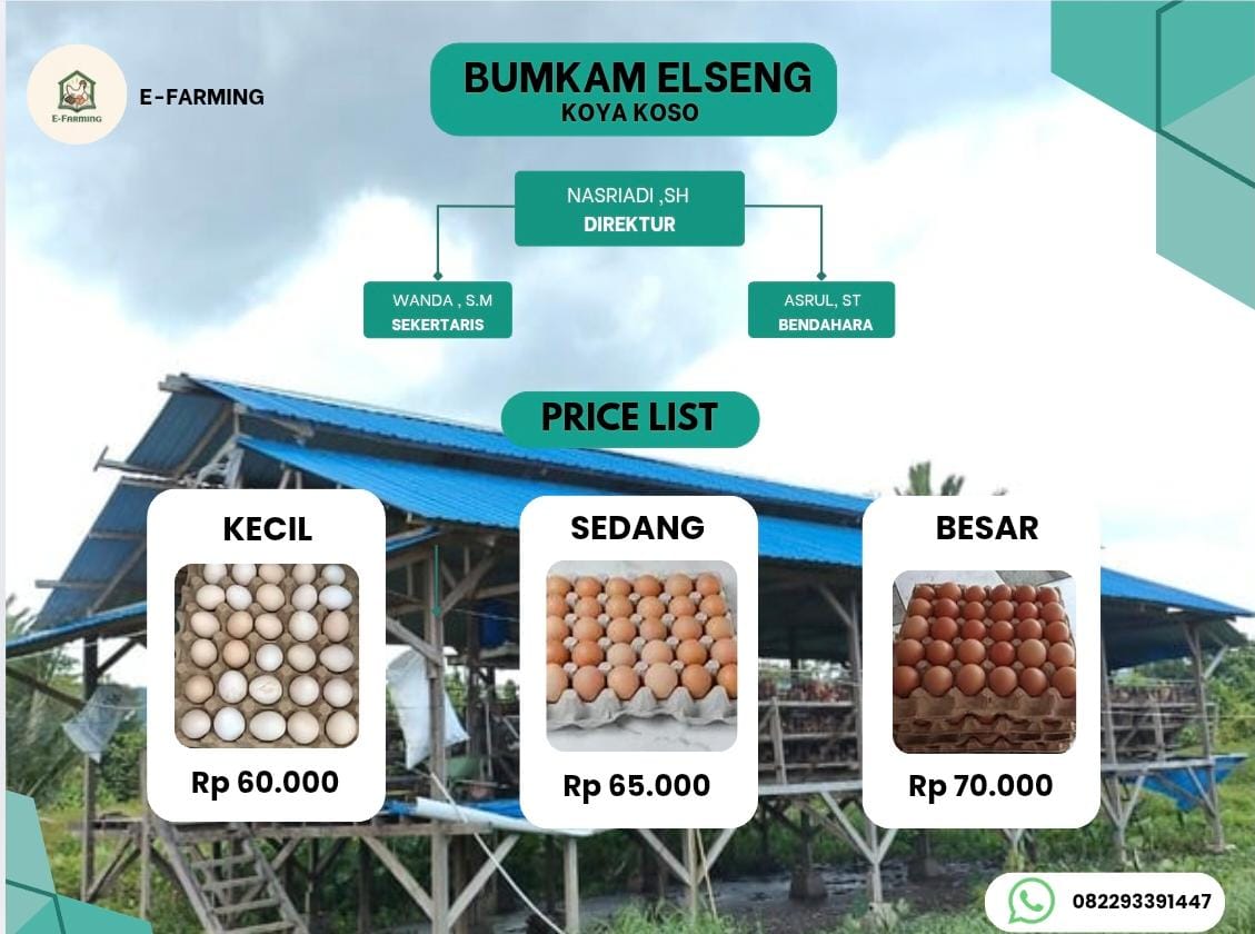 BUMKAM Elseng - Struktur Organisasi & Price List